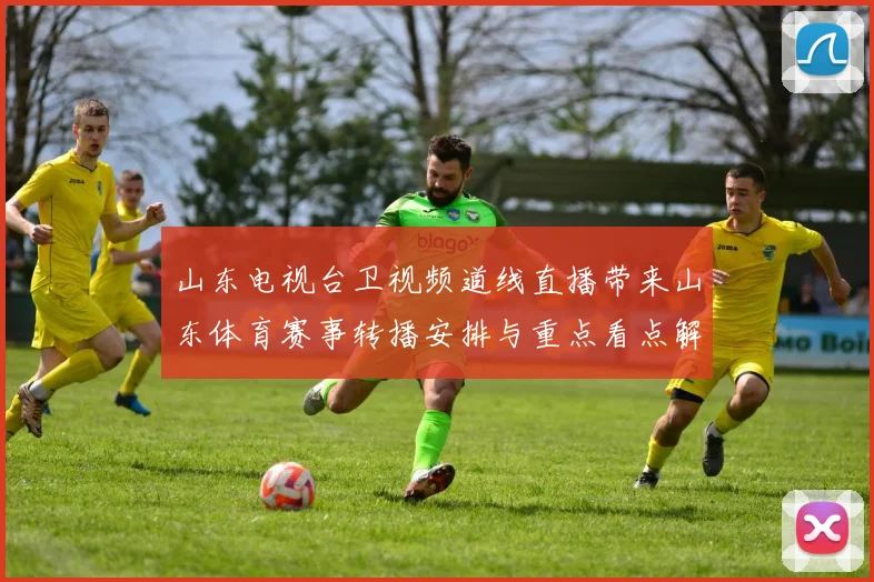 山东电视台卫视频道线直播带来山东体育赛事转播安排与重点看点解析