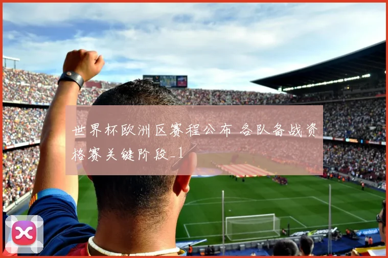 世界杯欧洲区赛程公布 各队备战资格赛关键阶段_1