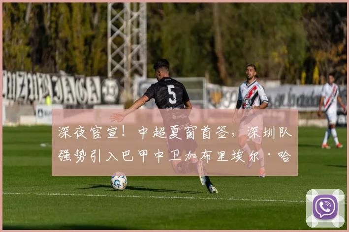 深夜官宣！中超夏窗首签，深圳队强势引入巴甲中卫加布里埃尔·哈维尔_鹏城_巴伊亚_外援