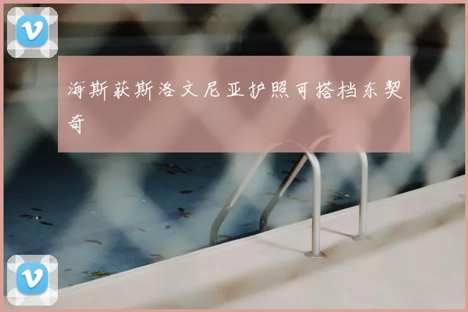 海斯获斯洛文尼亚护照可搭档东契奇