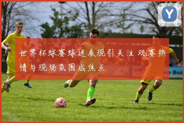 世界杯球赛球迷表现引关注 观赛热情与现场氛围成焦点