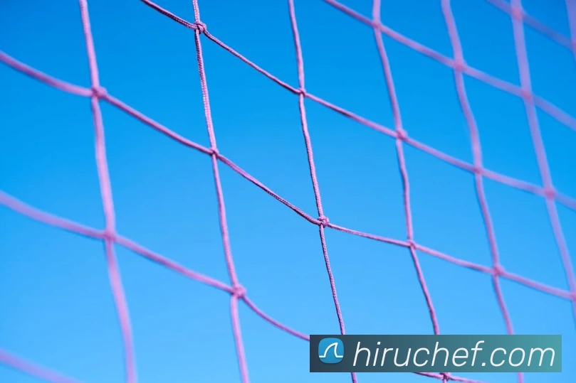 澳门环球国际官网APP 封面图