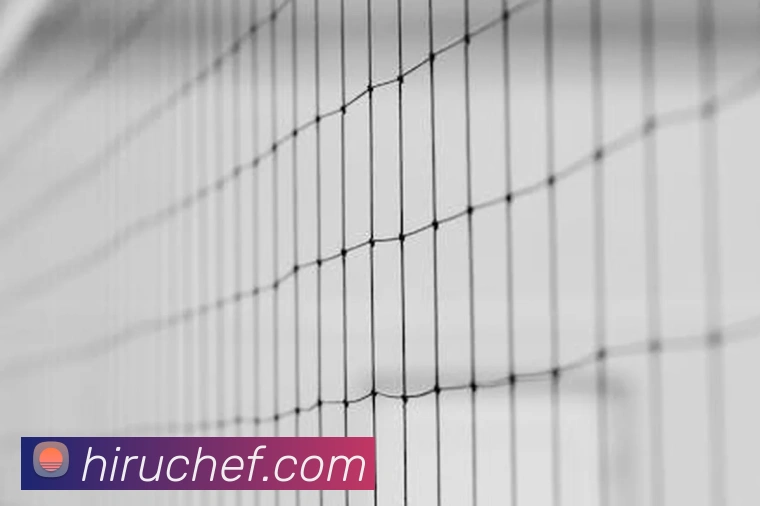 数据防护可视化